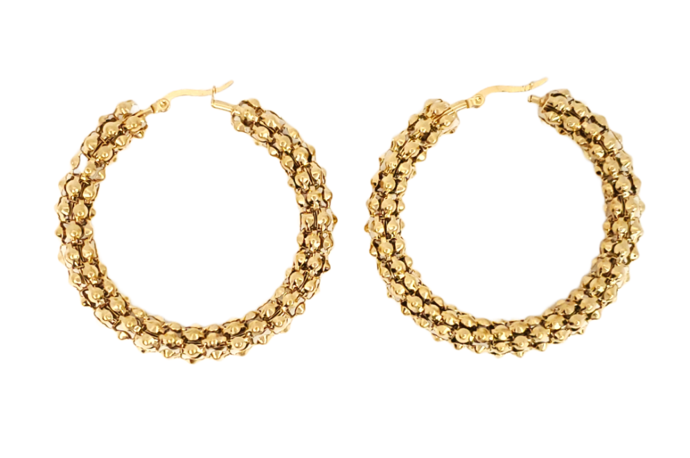 Avianna Hoop Earrings